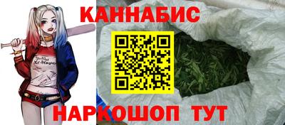 a pvp Брянск