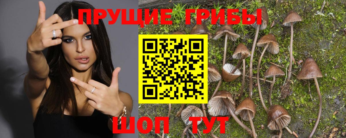 Нижневартовск  Галлюциногенные грибы MAGIC MUSHROOMS  Вход с VPN 